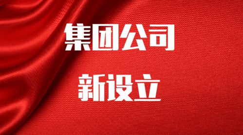 公司新設立 投資集團,控股集團,農業集團,旅游集團,能源集團公司等