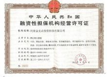 河南金支點投資擔保