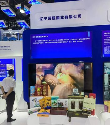 丹東企業走進東博會 共享RCEP新機遇