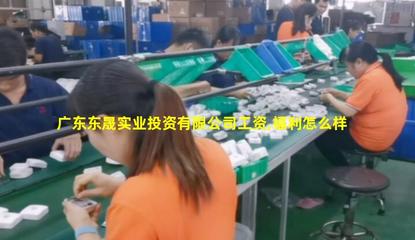 廣東東晟實業投資