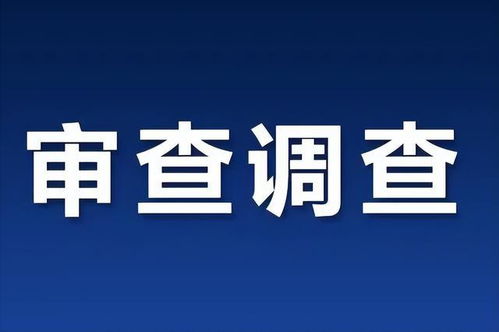 杭州中匯實業投資公司原總經理林志剛接受紀律審查和監察調查