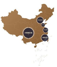 crs峰會(huì) 梁川 三盛集團(tuán)常務(wù)副總裁 三盛資本總裁 打卡中國家庭美好生活
