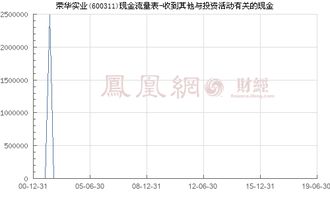 榮華實業 600311 收到其他與投資活動有關的現金